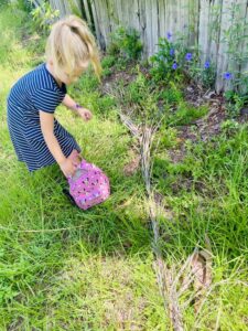 Ella hunts for flowers in our yard