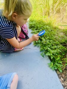 Ella looks at nature with a magnifying glass