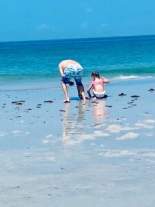 Ella and her granddad hunt for seashells