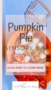 pumpkin pie sensory bin pin