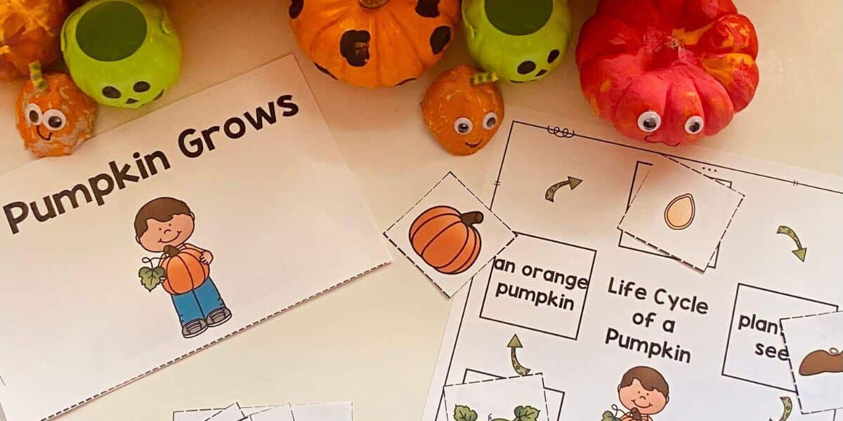 pumpkin life cycle worksheets