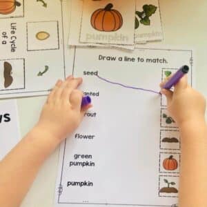 Ella does a pumpkin matching worksheet