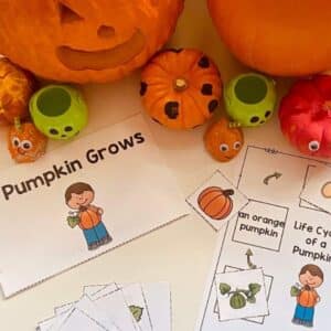 pumpkin life cycle book and worksheet