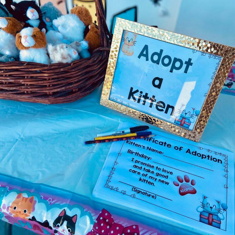 adopt a kitten sign, certificate, and kitten plushies