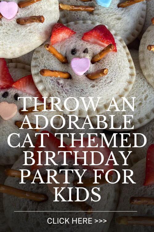 throw an adorable cat themed birthday party for kids