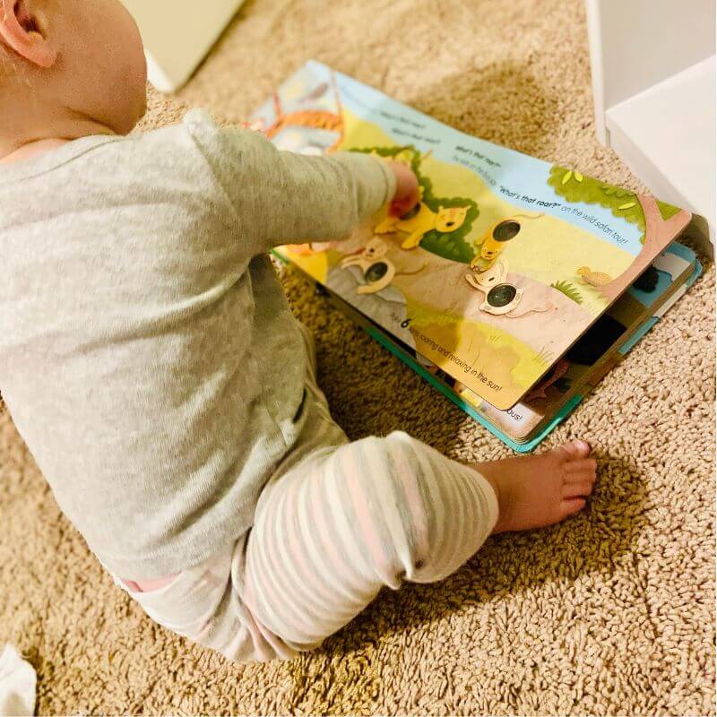 toddler reading a book